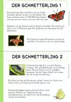 Vorschau - Arbeitsblätter - Schmetterlinge Minipaket - Seite 3