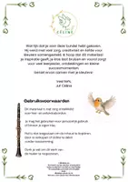 Voorbeeld - Peter en de wolf - Muzikale ontdekhoek - Pagina 1