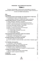 Vista previa - Para docentes: organización, planificación y formación - Tema 3 Oposicions Orientació Educativa | Infografies + Resums + Quiz interactiu (Català) - página 3