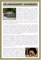 Vorschau - Arbeitsblätter - DIE LANDSCHILDKRÖTE - Haustiercheck - Seite 1