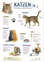 Vorschau - Arbeitsblätter - Lernposter + Arbeitsblätter zum Thema "Katzen" + Lösung & MP3 + Mindmap + Infografik - Deckblatt