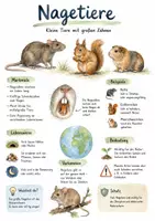 Vorschau - Arbeitsblätter - Lernposter + Arbeitsblätter zum Thema "Nagetiere" + Lösung & MP3 + Mindmap + Infografik - Deckblatt