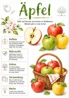 Vorschau - Arbeitsblätter - Lernposter + Arbeitsblatt zum Thema "Apfel" + Onlineübung & MP3 + Mindmap + Infografik - Deckblatt