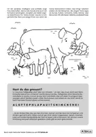 Vorschau - Arbeitsblätter - Kostenlos: Arbeitsblätter „Ein Schwein erzählt!“ - Seite 1