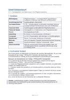 Vorschau - Stundenentwürfe - Unterrichtsentwurf A1.2 Schweigepflicht / Datenschutz in der Pflegefachassistenz - Seite 2