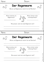 Vorschau - Arbeitsblätter - Regenwürmer | Sachtext und Arbeitsblatt - Seite 3