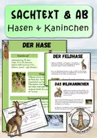 Vorschau - Arbeitsblätter - Feldhase & Wildkaninchen Sachtext & Arbeitsblatt - Deckblatt
