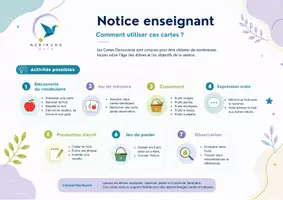 Aperçu - Cartes / Images - Les fruits – 40 cartes de vocabulaire illustrées – Maternelle - Page 2