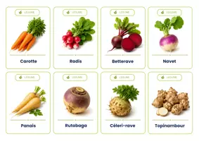 Aperçu - Cartes / Images - Légumes du potager – 64 cartes de vocabulaire illustrées – Maternelle - Page 3