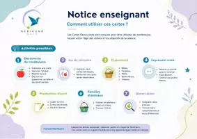 Aperçu - Cartes / Images - Les Animaux de la ferme – 40 cartes de vocabulaire illustrées – Maternelle - Page 2