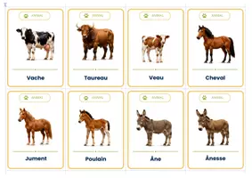 Aperçu - Cartes / Images - Les Animaux de la ferme – 40 cartes de vocabulaire illustrées – Maternelle - Page 3