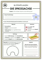 Vorschau - Arbeitsblätter - Die Sprossachse – Experiment zu Wassertransport und Kapillarkraft - Deckblatt