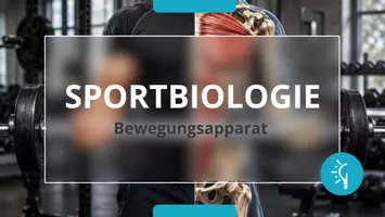 Vorschau - Präsentationen/Tafelbilder - Sportbiologische Grundlagen ⎮ Bewegungsapparat - Präsentation für Klasse 10 bis 13 - Seite 1