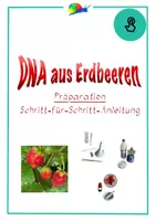 Vorschau - Experimente - DNA-Extraktion aus Erdbeeren (Versuchsanleitung) - Deckblatt