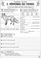 Vorschau - Arbeitsblätter - Freebie Der Fuchs - Kostenlose Arbeitsblätter Forscherheft - Seite 2