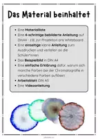 Vorschau - Unterrichtsreihen - Magische Blumen - Papierchromatografie im Kunstunterricht inkl. Videoanleitung - Seite 2