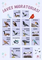 Vista previa - Fichas informativas / Documentos de lectura - AVES MIGRATORIAS - Portada