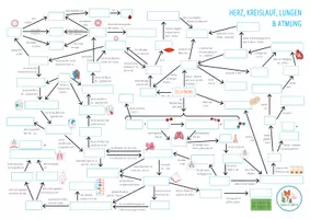 Vorschau - Arbeitsblätter - Herz, Kreislauf, Lungen und Atmung - Concept Map - Seite 3