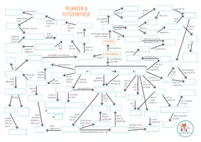 Vorschau - Arbeitsblätter - Fotosynthese - Concept Map - Seite 1