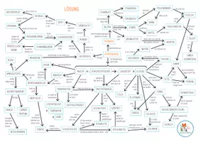 Vorschau - Arbeitsblätter - Fotosynthese - Concept Map - Seite 2