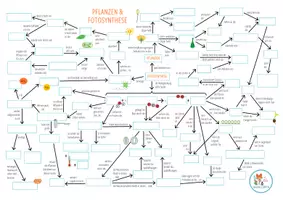 Vorschau - Arbeitsblätter - Fotosynthese - Concept Map - Seite 3