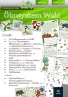 Vorschau - Unterrichtsreihen - Ökosystem Wald | komplette Unterrichtseinheit mit Lösungen | Klasse 7/8 - Deckblatt