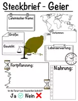 Vorschau - Arbeitsblätter - Steckbrief Geier - Deckblatt