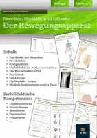 Vorschau - Unterrichtsreihen - Bewegungsapparat (Knochen, Muskeln und Gelenke) | komplette Unterrichtseinheit mit Lösungen | Klasse 5 und 6 - Deckblatt