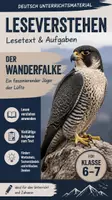 Vorschau - Stundenentwürfe - Leseverstehen: Der Wanderfalke – Sachtext - Deckblatt