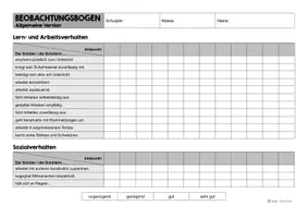 Vorschau - Lehrpläne/Lehrermaterial - Beobachtungsbogen zum Arbeits-, Lern- und Sozialverhalten - Seite 3