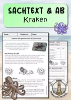 Vorschau - Arbeitsblätter - Tintenfische | Kraken Sachtext & Arbeitsblatt - Deckblatt