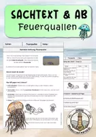 Vorschau - Arbeitsblätter - Quallen | Feuerquallen - Deckblatt