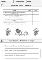 Vorschau - Arbeitsblätter - Quallen | Feuerquallen - Seite 2
