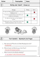 Vorschau - Arbeitsblätter - Quallen | Feuerquallen - Seite 3