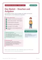 Vorschau - Arbeitsblätter - Skelett und Knochen – Biologie 5/6 - Deckblatt