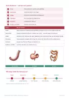 Vorschau - Arbeitsblätter - Verdauung – Biologie Klasse 5/6 - Seite 2