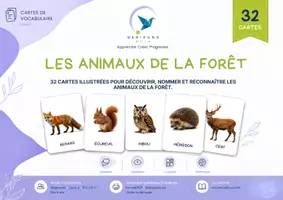 Aperçu - Cartes / Images - Les animaux de la forêt - 32 Cartes de vocabulaire illustrées – Maternelle - Page 1