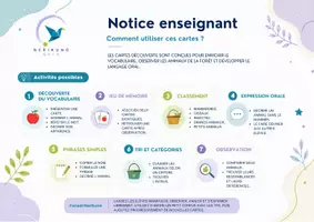 Aperçu - Cartes / Images - Les animaux de la forêt - 32 Cartes de vocabulaire illustrées – Maternelle - Page 2