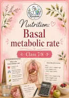 Vorschau - Arbeitsblätter - Sparpaket bilingual: Nutrition (with solutions) - Seite 1