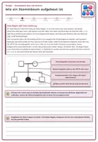 Vorschau - Arbeitsblätter - Genetik: Stammbäume lesen und zeichnen - Seite 2
