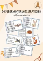 Vorschau - Spiele - Klammerkarten zu den Überwinterungsstrategien von Tieren - Deckblatt