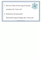 Vorschau - Spiele - Klammerkarten zu den Überwinterungsstrategien von Tieren - Seite 2