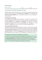 Vorschau - Stundenentwürfe - Biologie: Atmung und Atmungsorgane - Klasse 5/6 - Seite 2
