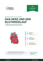 Vorschau - Stundenentwürfe - Biologie: Herz und Blutkreislauf - Klasse 5/6 - Deckblatt