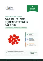 Vorschau - Stundenentwürfe - Materialpaket: Atmung und Blutkreislauf - Seite 1