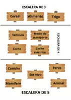 Vista previa - Juegos / Gamificación - ESCALERA HIPERÓNIMOS E HIPÓNIMOS - página 3