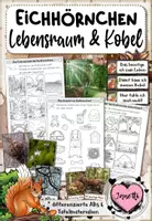 Vorschau - Arbeitsblätter - Eichhörnchen – Lebensraum & Kobel | Sachunterricht Klasse 1 & 2 | Arbeitsblätter & Tafelmaterial - Deckblatt