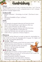 Vorschau - Arbeitsblätter - Eichhörnchen – Lebensraum & Kobel | Sachunterricht Klasse 1 & 2 | Arbeitsblätter & Tafelmaterial - Seite 1