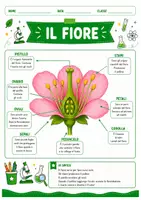 anteprima - Esercizi - Dal fiore al frutto schede didattiche - Pagina 1