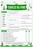 anteprima - Esercizi - Dal fiore al frutto schede didattiche - Pagina 3